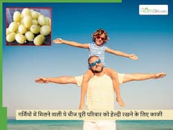 जल्दी ही मिलने लगेगी गर्मियों में फ्री में मिलने वाली ये छोटी सी चीज, एक में ही मिलेंगे सारे आयुर्वेदिक गुण