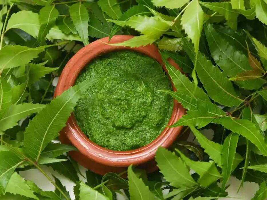 Homemade Neem soap: घर पर ऐसे बनाएं नीम की साबुन आधी स्किन की बीमारियां तो इसी से हो जाएंगी ठीक