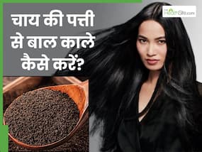 चाय की पत्ती से बाल काले कैसे करें? जानें 5 तरीके, जिनसे सफेद बालों से मिलेगा छुटकारा और बाल बनेंगे लंबे-घने