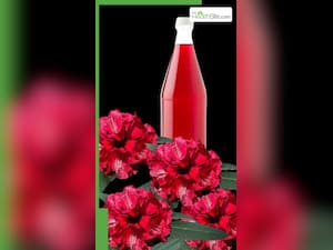 गर्मी में बुरांश का जूस पीने के फायदे