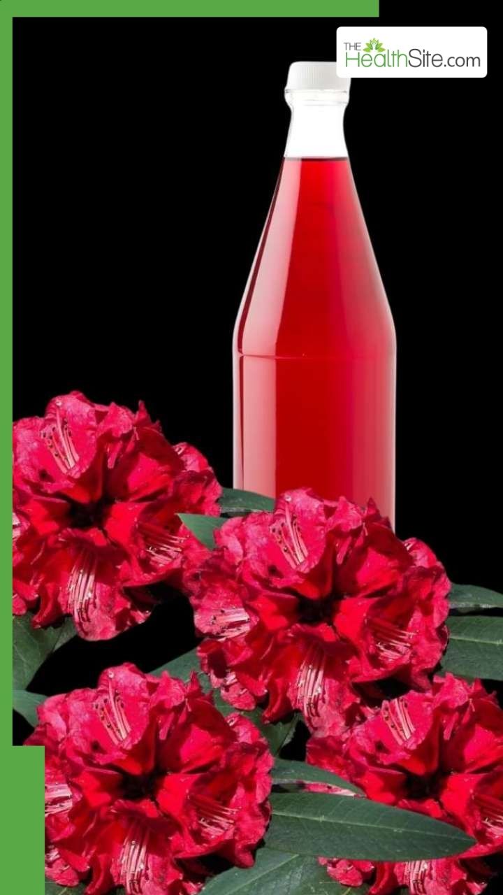 गर्मी में बुरांश का जूस पीने के फायदे