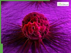 6 Everyday Foods That Are Silently Feeding Cancer In Your Body     Stop Eating Them