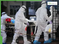 Hepatitis In India: How To Eliminate The Risk Of The Rapidly Growing Virus