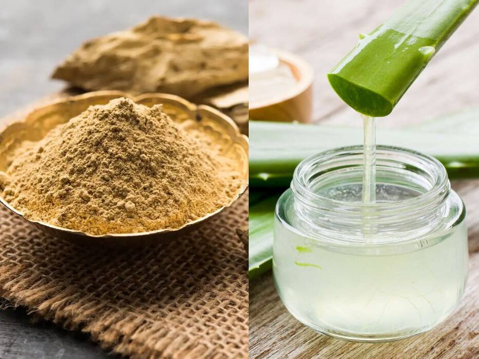 गर्मी में रात को चेहरे पर एलोवेरा कैसे लगाएं? जानें 5 तरीके, जिनसे सुबह मिलेगी मुलायम और चमकदार त्वचा