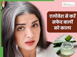 सफेद बालों को काला करने के लिए एलोवेरा में मिलाकर लगाएं ये 2 चीजें, हेयर डाई की नहीं पड़ेगी जरूरत