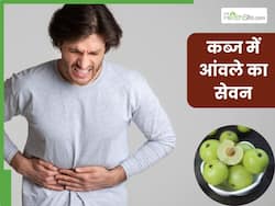 कब्ज से हैं परेशान तो आंवले का इस तरह से कर लीजिए सेवन, सुबह मल के साथ निकल जाएगी आंतों में सड़ रही गंदगी