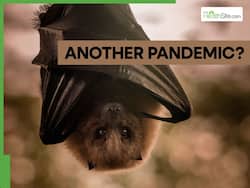 Another Pandemic? Deadly New Bat-Borne Viruses Discovered in China - Scientists Warn of Up to 75% Fatality Rate