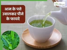 आम के पत्तों को उबालकर पीने से दूर होंगी ये 5 समस्याएं, जानें सेवन का सही तरीका आम के पत्तों को उबालकर पीने से दूर होंगी ये 5 समस्याएं, जानें सेवन का सही तरीका