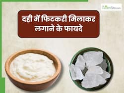 दही में फिटकरी मिलाकर लगाने से दूर होती हैं ये 5 समस्याएं, जानें प्रयोग का सही तरीका