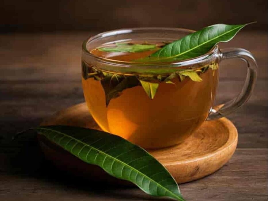 आम के पत्तों को उबालकर पीने से दूर होंगी ये 5 समस्याएं, जानें सेवन का सही तरीका
