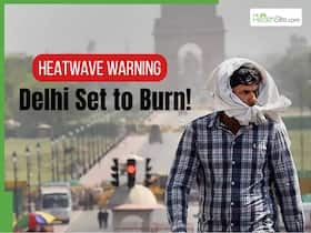 Heatwave In Delhi-NCR LIVE: Capital Sizzles at 43.3 C, Feels Like 51.9 C IMD Issues Red Alert As North India Scorches Heatwave In Delhi-NCR LIVE: Capital Sizzles at 43.3 C, Feels Like 51.9 C IMD Issues Red Alert As North India Scorches