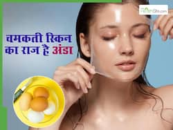 चेहरे पर अंडा लगाने से क्या होगा? देखते ही देखते बढ़ जाएगी स्किन की चमक, बस जान लें इस्तेमाल का सही तरीका