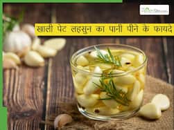 खाली पेट पिएं लहसुन का पानी, बाहर निकली हुई तोंद चली जाएगी अंदर, कम होगा इन बीमारियों का भी रिस्क