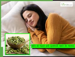 रात में सोने से पहले चबा लें 1 हरी इलायची, दूर हो जाएंगी ये 5 हेल्थ प्रॉब्लम्स