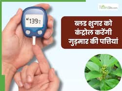 डायबिटीज के मरीजों के लिए वरदान है 'गुड़मार', ऐसे करेंगे इसका का सेवन तो दिन भर कंट्रोल रहेगा ब्लड शुगर