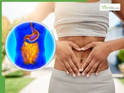 Healthy Gut: 7 Summer Fruits That Naturally Cleanse and Strengthen Your Digestive System