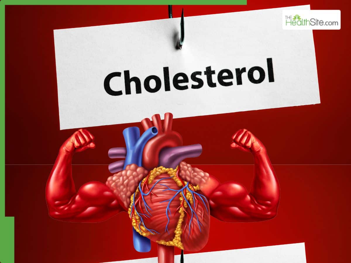 Healthy Heart: 6 Effective Ways to Naturally Increase HDL (Good) Cholesterol Levels