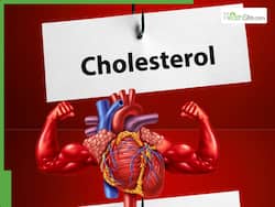 Healthy Heart: 6 Effective Ways to Naturally Increase HDL (Good) Cholesterol Levels