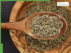 Jeera Water on Empty Stomach: 6 Surprising Health Benefits of Drinking Cumin Seeds Soaked Water Daily