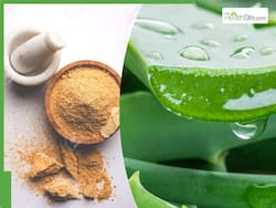 चेहरे पर मुल्तानी मिट्टी और एलोवेरा लगाने से दूर होती हैं ये 5 समस्याएं, ये है लगाने का सही तरीका