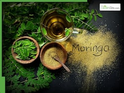 Moringa Powder Benefits: What Happens To Your Body When You Drink Drumstick Leaves Powder Daily
