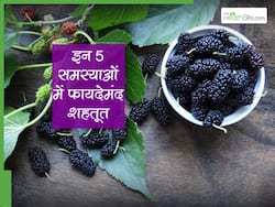 पीरियड्स में हेवी ब्लीडिंग से परेशान महिलाएं जरूर खाएं गर्मियों में मिलने वाला ये नन्हा फल, कमजोरी भी होती है दूर