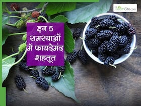 पीरियड्स में हेवी ब्लीडिंग से परेशान महिलाएं जरूर खाएं गर्मियों में मिलने वाला ये नन्हा फल, कमजोरी भी होती है दूर