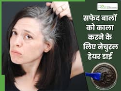 फेंक दीजिए हेयर कलर का डिब्बा, सफेद बालों में लगाएं इन 2 नेचुरल चीजों का हेयर डाय, सफेद बाल हो जाएंगे काले