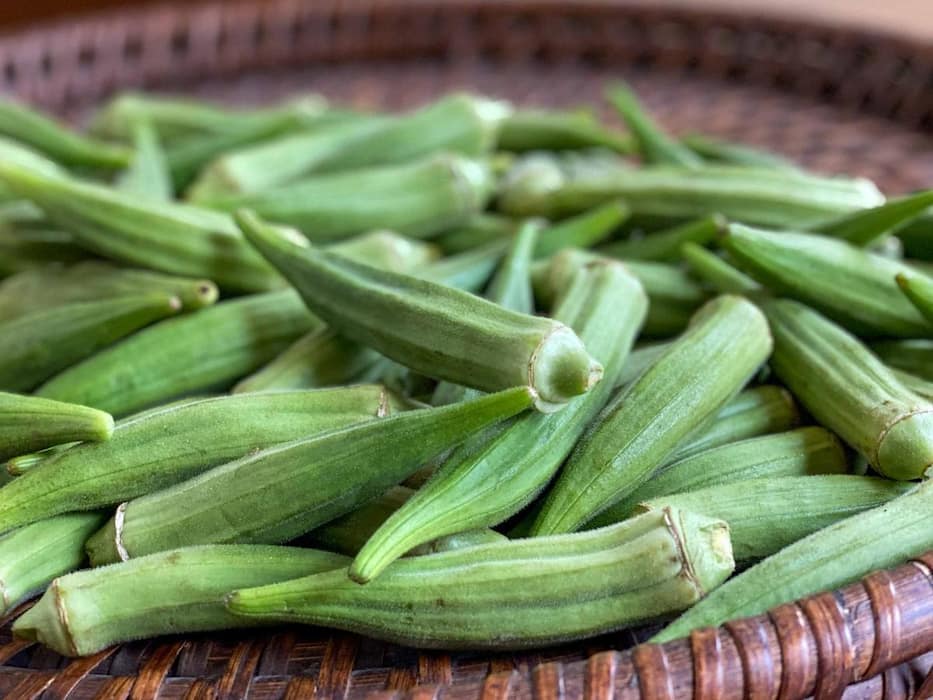 बारिश के मौसम में भूलकर भी न खाएं ये 5 सब्जियां, हो सकते हैं कई गंभीर बीमारियों का शिकार