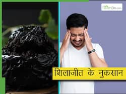 बिना सोचे-समझे ना खाएं शिलाजीत, हो सकते हैं भारी नुकसान, एक्सपर्ट से जानें शिलाजीत के सेवन से जुड़ी सावधानियां
