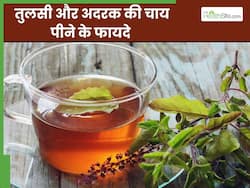 बारिश के मौसम में रोज पिएं तुलसी और अदरक की चाय, बीमारियां रहेंगी कोसों दूर