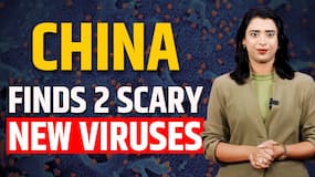China Discovers 2 New Bat Viruses with Pandemic Potential China Discovers 2 New Bat Viruses with Pandemic Potential