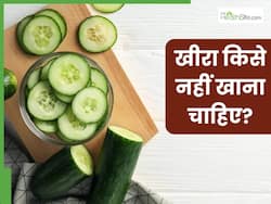 इन 5 लोगों को भूलकर भी नहीं खाना चाहिए खीरा, सेहत को हो सकता है गंभीर नुकसान