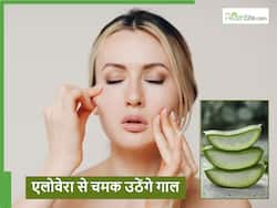 गर्मियों की धूप में टमाटर की तरह लाल चमकने लगेंगे गाल, बस जान लें एलोवेरा को चेहरे पर लगाने का सही तरीका