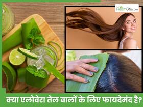 रूखे-बेजान बालों के लिए बनाएं एलोवेरा ऑयल, जेल से ज्यादा फायदेमंद है ये रेमेडी