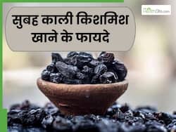 रोज सुबह काली किशमिश खाने से सेहत को मिलते हैं ये 5 फायदे, इस तरह से करें सेवन