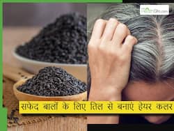 सफेद बालों को काला करने के लिए अब नहीं पड़ेगी हेयर डाय की जरूरत, इन काले बीजों से बनाएं नेचुरल हेयर कलर