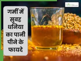 गर्मी में रोज सुबह धनिया का पानी पीने से मिलेंगे ये 4 फायदे, इस तरह से करें सेवन