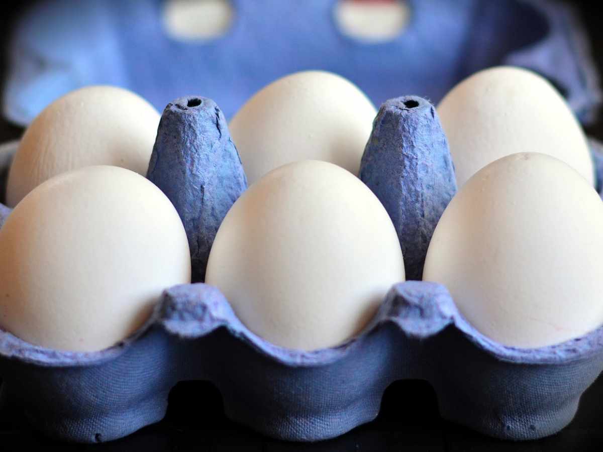 Benefits Of Eating Eggs, eating eggs, diabetic diet, healthy diet for diabetes, eating eggs daily, egg consumption for diabetes patients, side effects of eating too many eggs, best diet for diabetics, diabetes patients eating eggs, daily egg count for diabetes patients