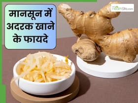 मानसून में जरूर करें अदरक का सेवन, दूर होंगी ये 3 समस्याएं