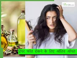 क्या ऑलिव ऑयल लगाने से हेयर फॉल होता है कम? जानिए बालों में ऑलिव ऑयल लगाने का सही तरीका