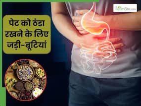 गर्मी में पेट को ठंडा रखने के लिए इन 5 जड़ी-बूटियों का सेवन, जलन भी होगी शांत