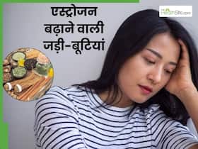 40 की उम्र में हार्मोन का रखें ध्यान! जानें एस्ट्रोजन बढ़ाने वाली 4 चमत्कारी जड़ी-बूटियां 40 की उम्र में हार्मोन का रखें ध्यान! जानें एस्ट्रोजन बढ़ाने वाली 4 चमत्कारी जड़ी-बूटियां