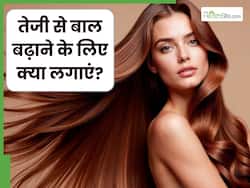 तेजी से बाल बढ़ाने के लिए क्या लगाएं? इन 5 चीजों को लगाने से मिलेंगे मनचाहे बाल