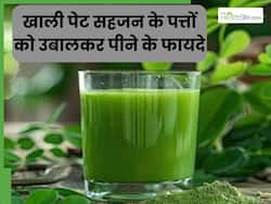 रोज सुबह सहजन के पत्ते उबालकर पीने से दूर होंगी ये 4 समस्याएं, इस तरह से करें सेवन