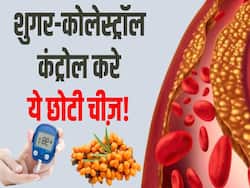 इस पहाड़ी फल को खाने से शुगर-कोलेस्ट्रॉल होगा तेजी से कंट्रोल, देखें पूरी वीडियो