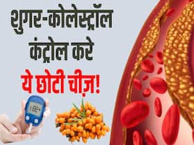 इस पहाड़ी फल को खाने से शुगर-कोलेस्ट्रॉल होगा तेजी से कंट्रोल, देखें पूरी वीडियो