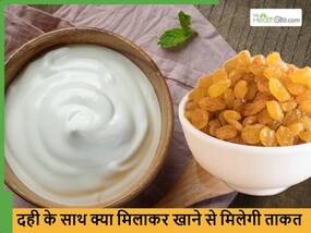 दही में क्या मिलाकर खाने से शरीर की बढ़ने लगती है ताकत, कुछ दिन लगातार खाने से ही दिखने लगेगा असर