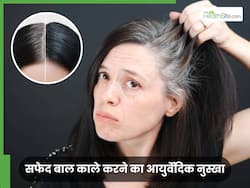 जड़ से काला हो जाएगा एक-एक सफेद बाल, लोहे की कढ़ाई में डालकर तैयार करें बाल काले करने का आयुर्वेदिक तरीका