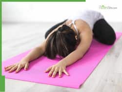 5 Key Reasons You Must Get Started On Your Yoga Journey Already